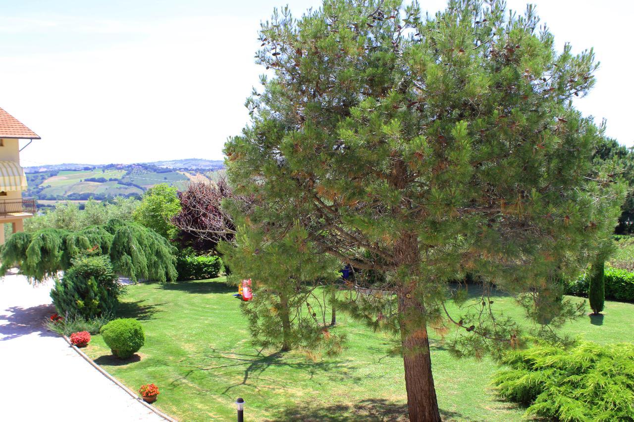 B&B Agli Ulivi Di Mascio Ostra Vetere ภายนอก รูปภาพ