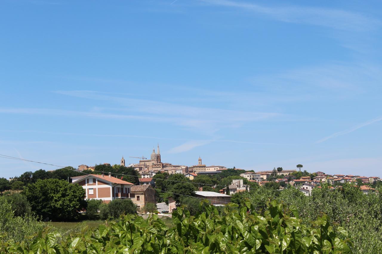 B&B Agli Ulivi Di Mascio Ostra Vetere ภายนอก รูปภาพ