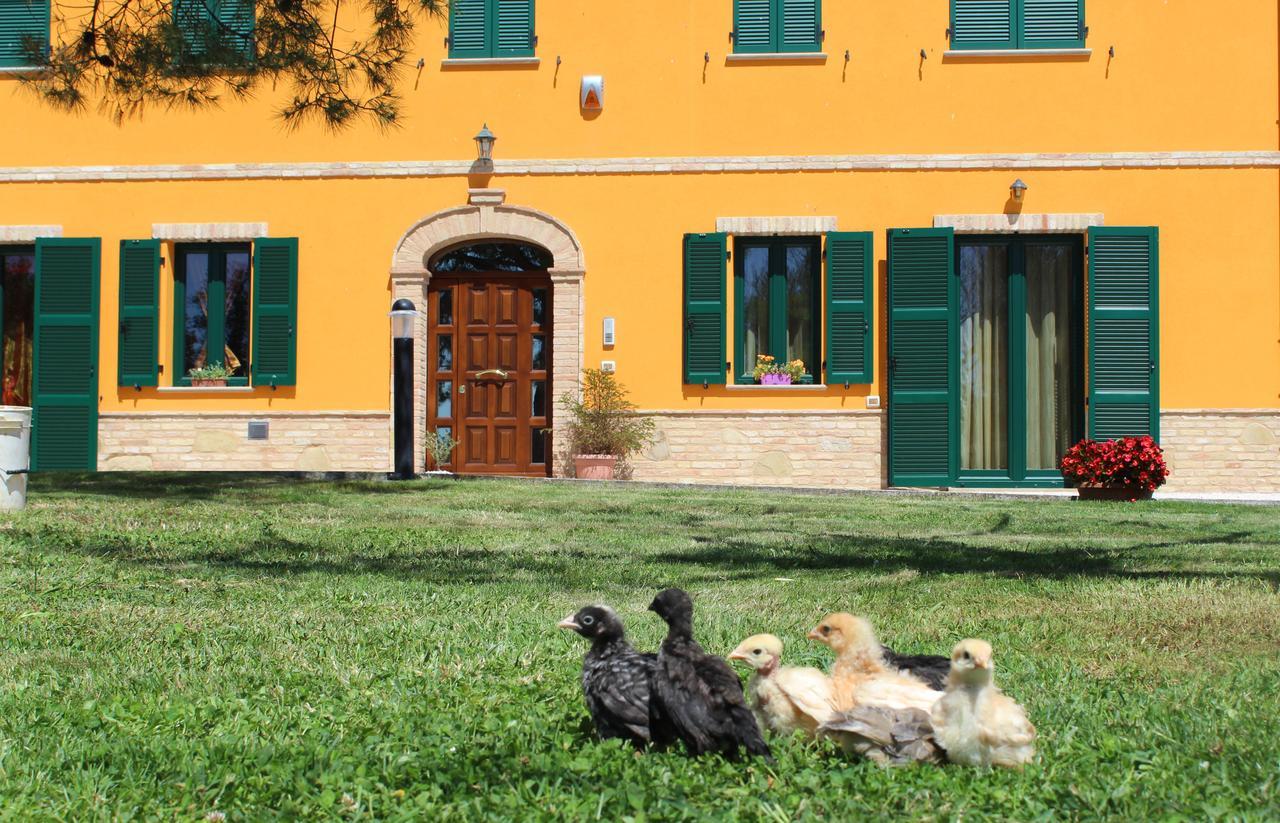 B&B Agli Ulivi Di Mascio Ostra Vetere ภายนอก รูปภาพ