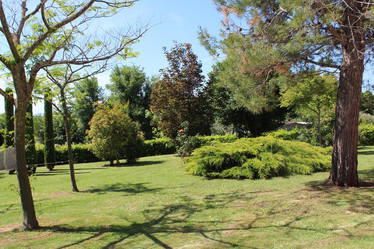 B&B Agli Ulivi Di Mascio Ostra Vetere ภายนอก รูปภาพ